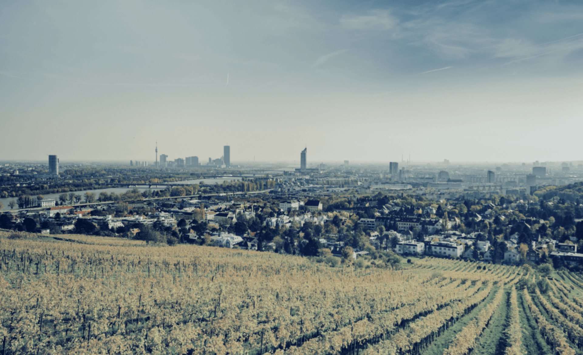 View of Vienna from the Grinzinger vineyards